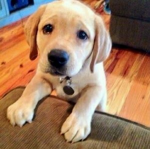 Meet your Posher, Sandra